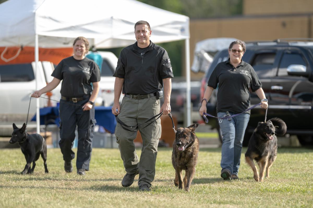 Three K9 search andf rescue dogs with their handlers