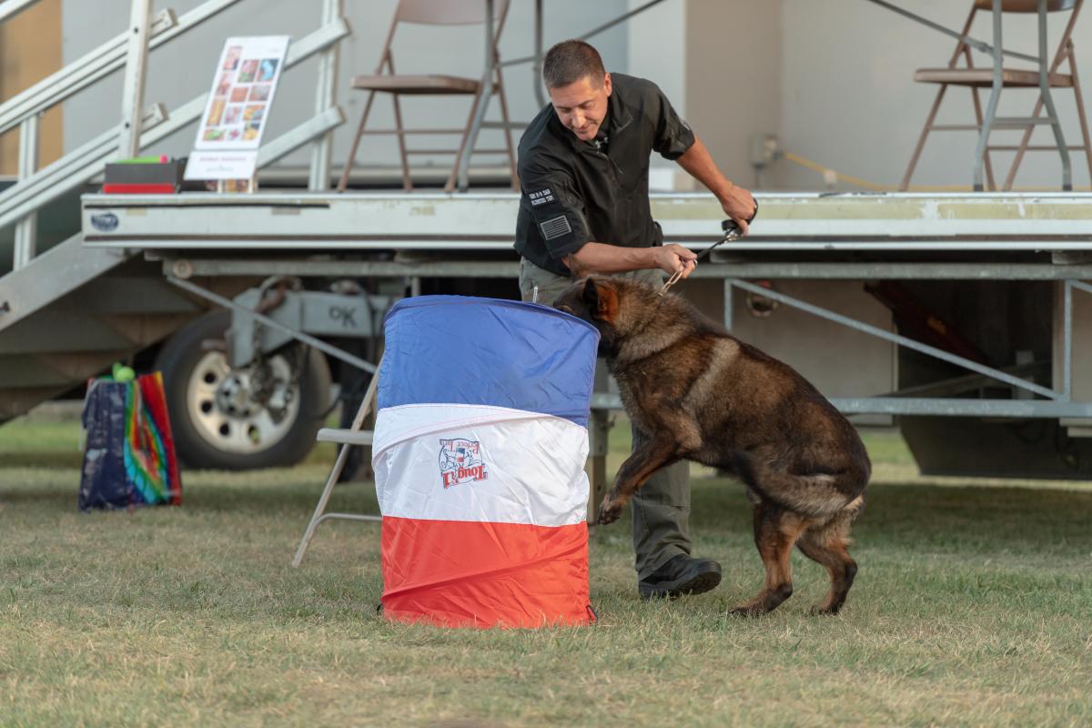 K9 search and rescue dog with handler doing a demonstration by sniffing out a person hidden in a collapsable barrel