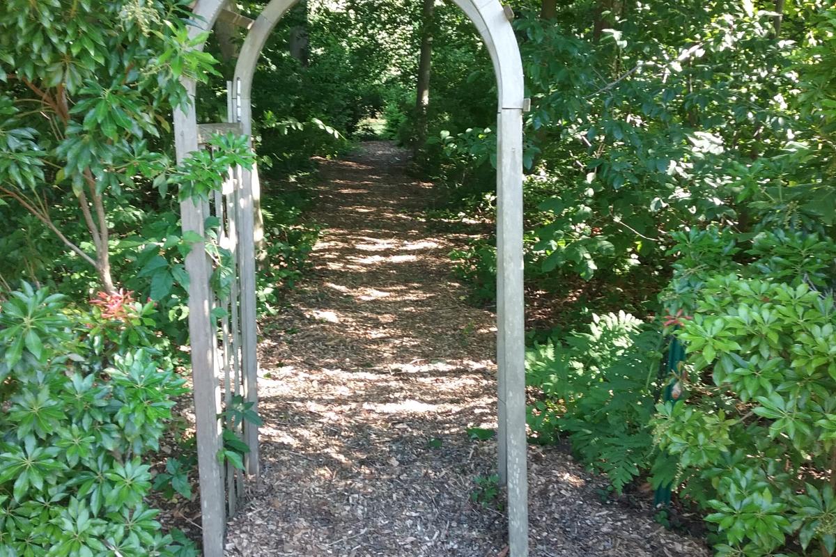 Trail in Paradise Park with Arbor Entrance